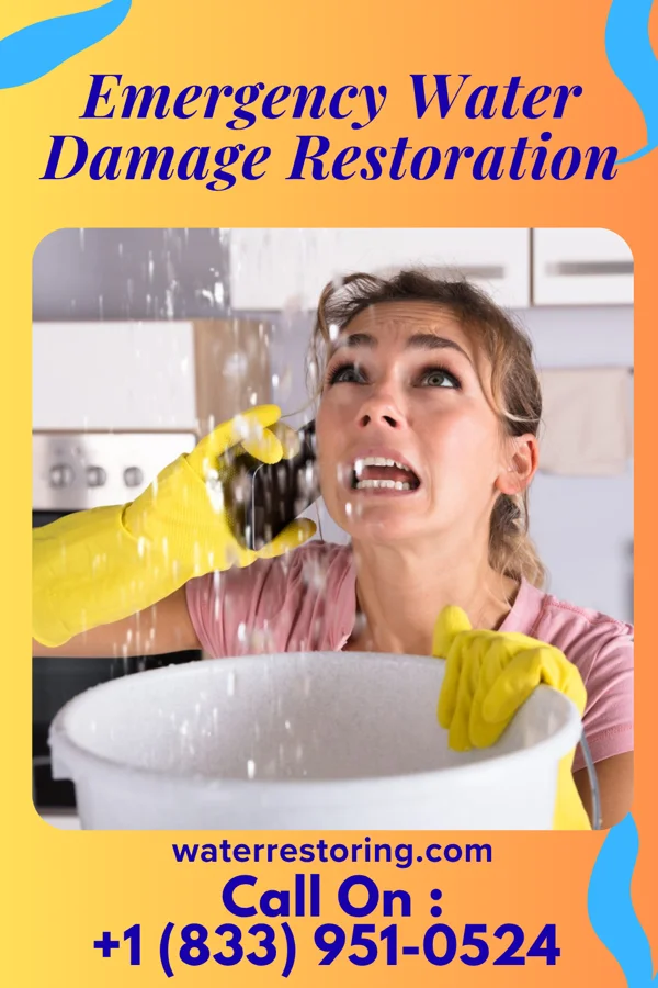 Emergency Water Damage Restoration in Panthersville, GA